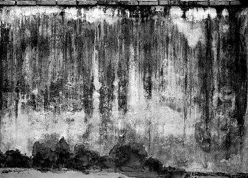 《光环》联合创造者Marcus加入EA开发FPS