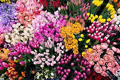 传Switch 2可能创造了历史 24小时销量超300万台